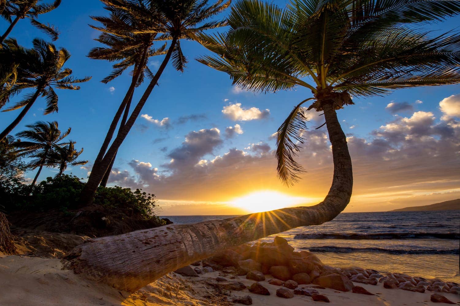 Photo d'une plage à Hawaï.